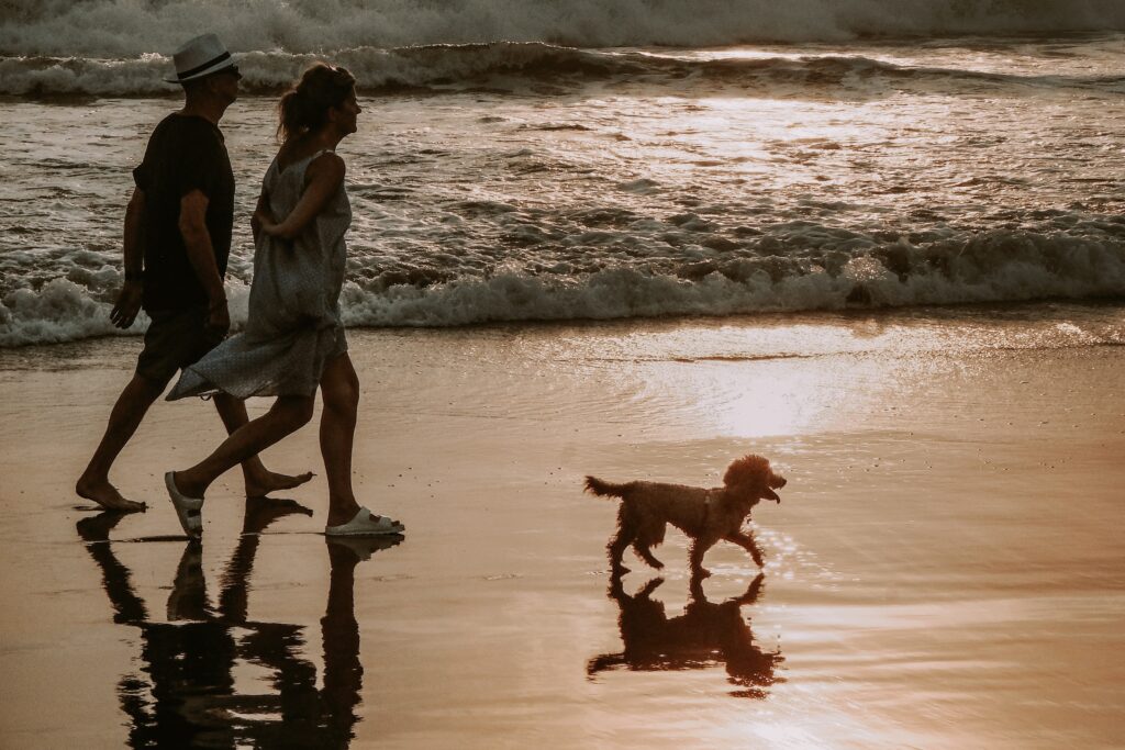 Best Ideas Gateway -Walking on the beach in retirement
